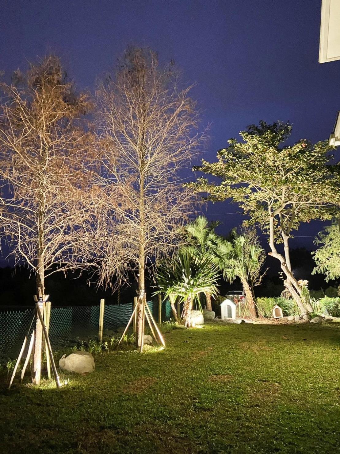 Snail B&B Pinghe 외부 사진